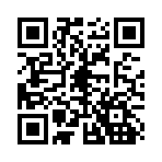 口袋妖怪金银中文版