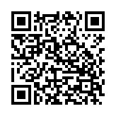 PopupWidget