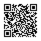 雪人兄弟中文版