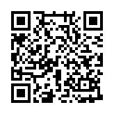 雪人兄弟大头版