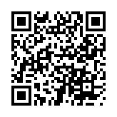 杀马特团长语音盒