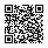 合金弹头6模拟器