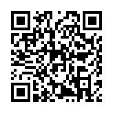 怪物猎人崛起助手