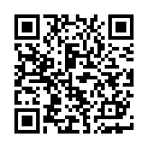 世界征服者4不灭凤凰mod