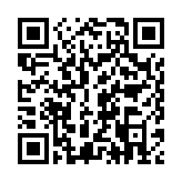 逃出庙会的那一天