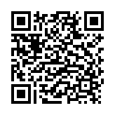 马赛克打码专家