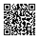 91熊猫桌面主题