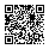 愤怒的小鸟中文版