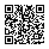 名为梦梦奈的Servant魔改版