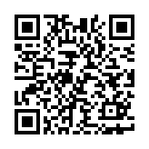 愤怒的小鸡之冲天炮