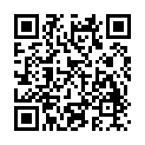 鸣潮工坊小助手