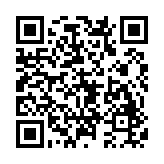 口袋妖怪燃之智