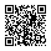 皮影京剧锁麟囊