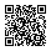 荣耀YOYO建议基础服务apk