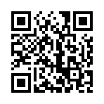 王铲铲的致富之路