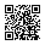 猫猫的奇妙小镇