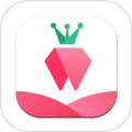 树莓小说阅读器
