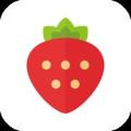 草莓导航