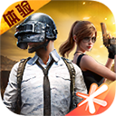 和平精英绿洲启元先锋服