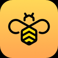 蜜蜂加速器