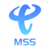 中国电信mss移动门户