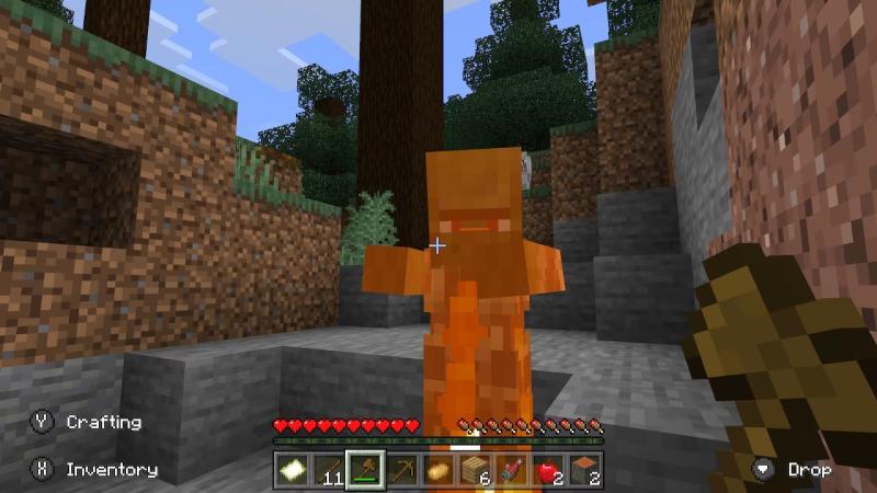 我的世界联机版2