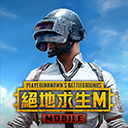 PUBG台服