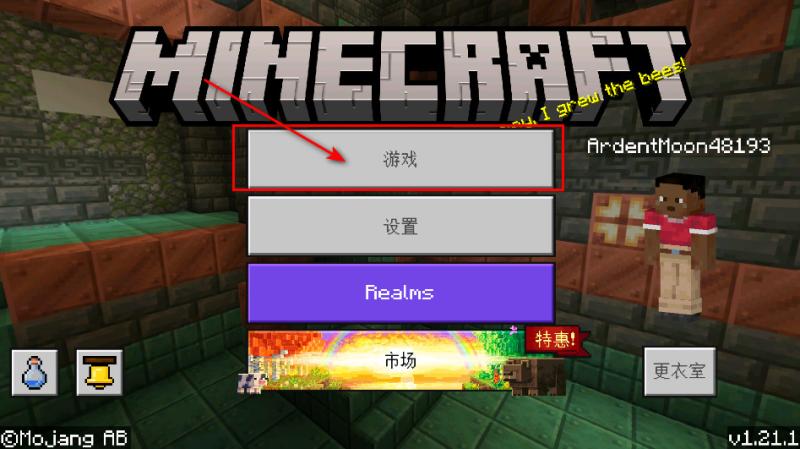 我的世界国际版10