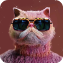 画质云画质助手