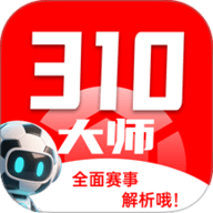 310大师