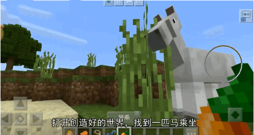 我的世界中国版5