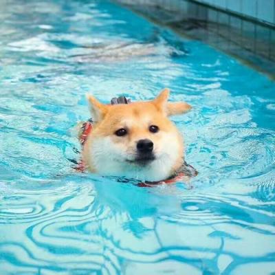 小杰安卓10框架