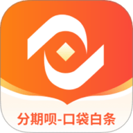 分期呗口袋白条