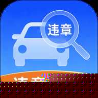 交通违章缴纳记录