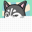 养只二哈不容易