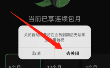 汽水音乐10