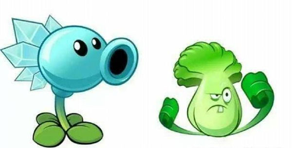 植物大战僵尸23