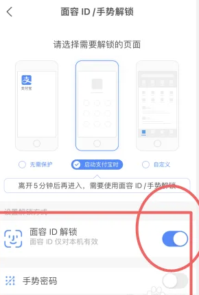 支付宝小米定制版5
