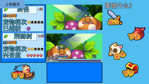 宠物王国5彩虹上帝版5