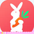 兔子优选