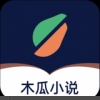 木瓜小说