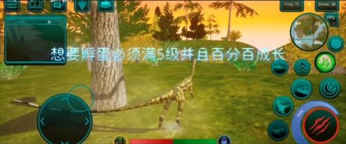 诅咒之岛1