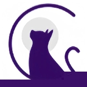 夜猫阅读小说