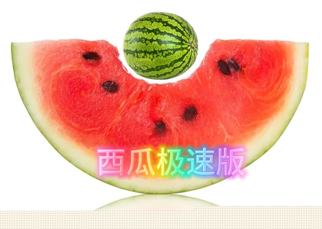 西瓜极速版电视版