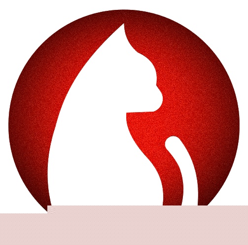 追剧猫视频