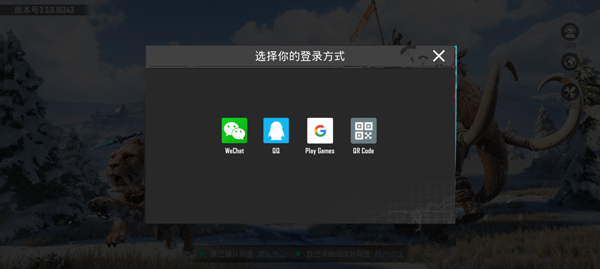 pubg国际服12