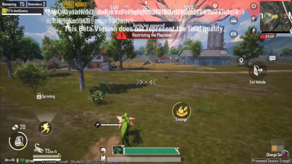 pubg国际服24