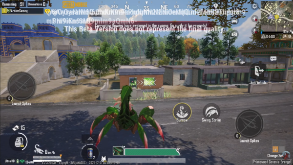 pubg国际服25