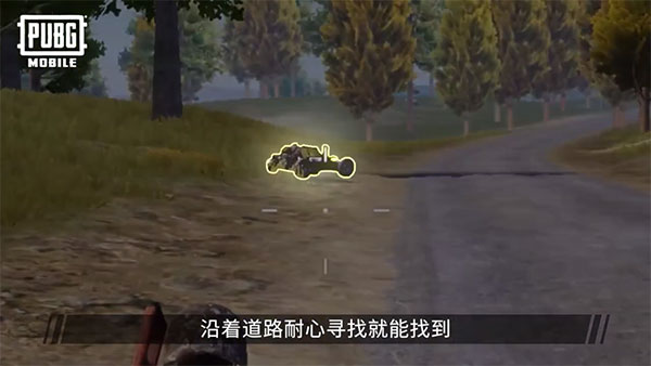 pubg国际服49