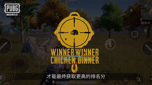 pubg国际服56